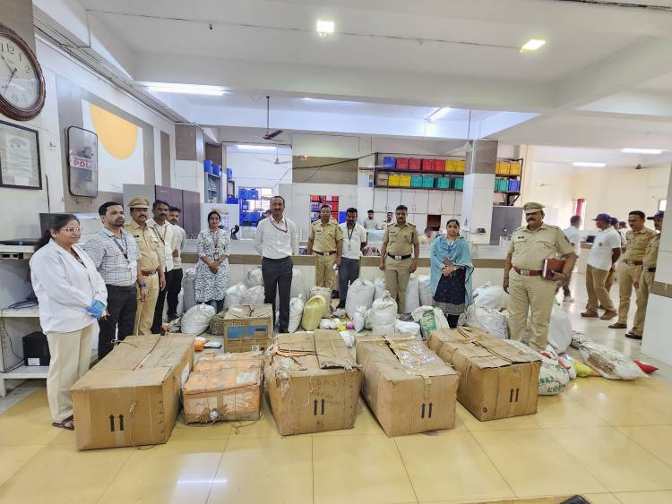 पिंपरी चिंचवड पोलीस आयुक्तालय यांच्या कडून 52 कारवायामधील 683 किलो गांजा नष्ट 