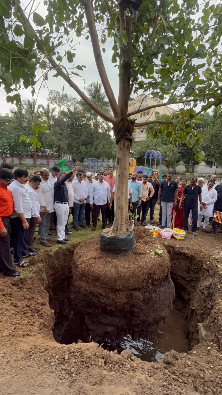 राष्ट्रीय स्वयंसेवक संघाच्या संघ शताब्दी वर्षाच्या निमित्ताने व देशाचे पंतप्रधान श्री नरेंद्र मोदी यांच्या 75 व्या वाढदिवसानिमित्त 51 फुटी वृक्षाची लागवड...